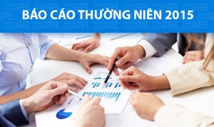 Báo cáo thường niên 2015