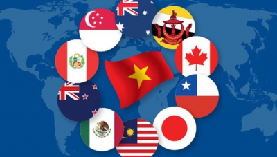 Ưu đãi thuế xuất khẩu cho hàng hóa của Việt Nam sang một số thị trường
