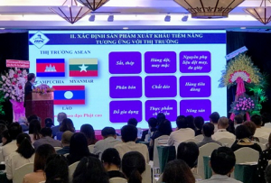 Tăng hiệu quả xuất khẩu trong bối cảnh hội nhập