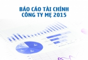 Báo cáo tài chính Công ty mẹ năm 2015